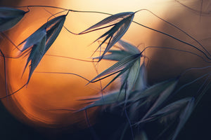 modern-3-piece-aluminium-print-sunset-p
