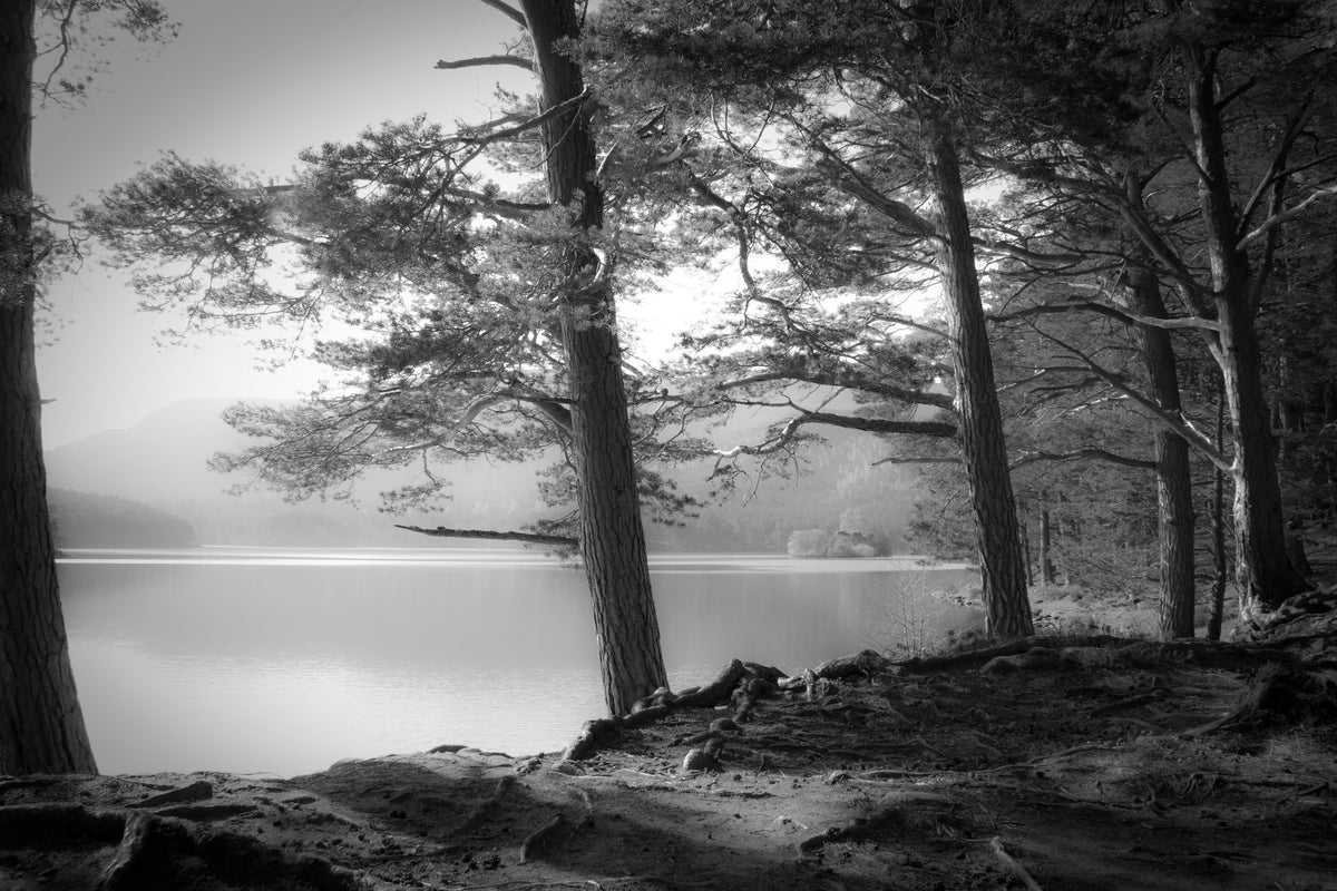 poster-print-loch-an-eilein