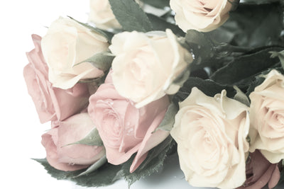 poster-print-romantic-rose