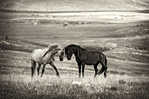 acrylic-print-close-encounter-x