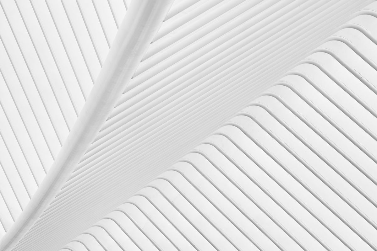 canvas-print-canopy