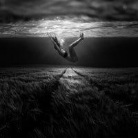 4-piece-acrylic-print-underwaterlandream