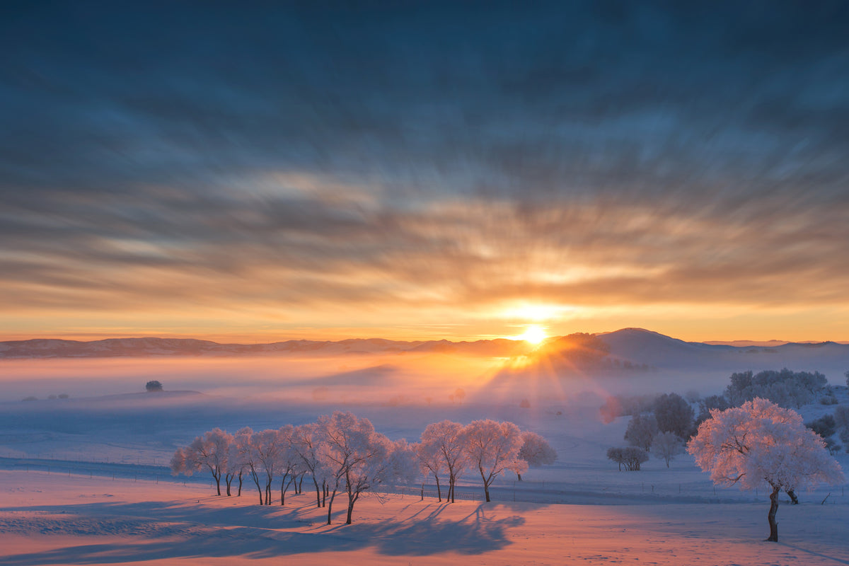 framedcanvas-print-good-morning-xhq