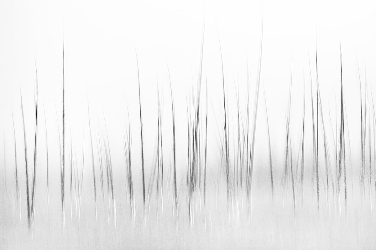 3-piece-aluminium-print-wintry-scenery-in-yellowstone