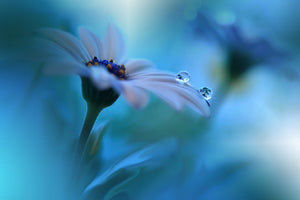 framedcanvas-print-beyond-the-visible