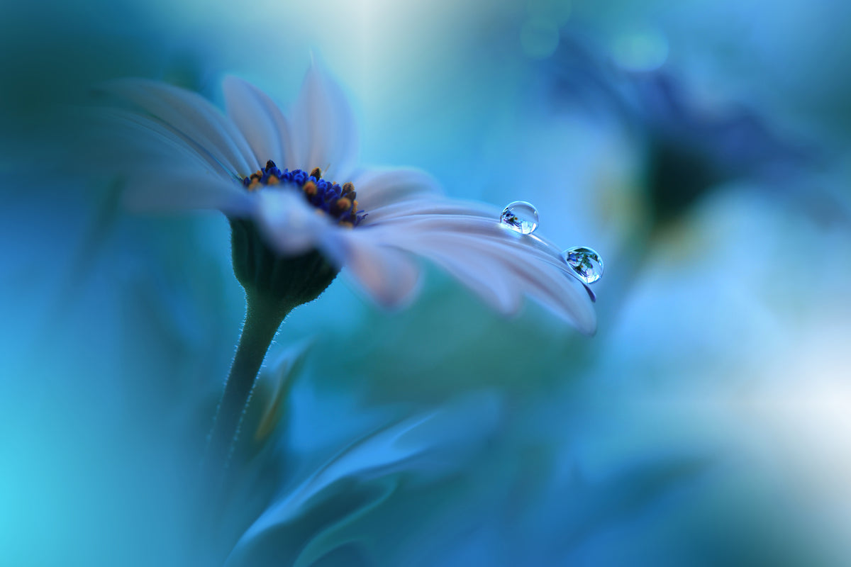 framedcanvas-print-beyond-the-visible