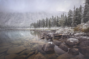 3-piece-canvas-print-winter
