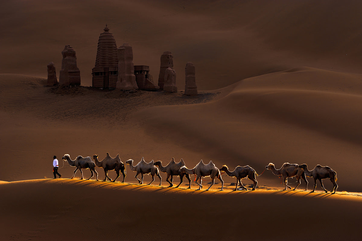 framedposter-print-castle-and-camels