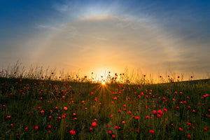 3-piece-acrylic-print-red-poppies-and-sunrise