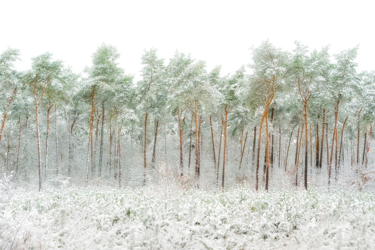 modern-3-piece-acrylic-print-snow-world