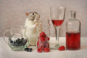 aluminium-print-snoozy-with-fruit-x
