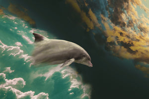 acrylic-print-fascination-dolphin