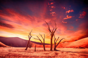 modern-3-piece-aluminium-print-colorful-desert