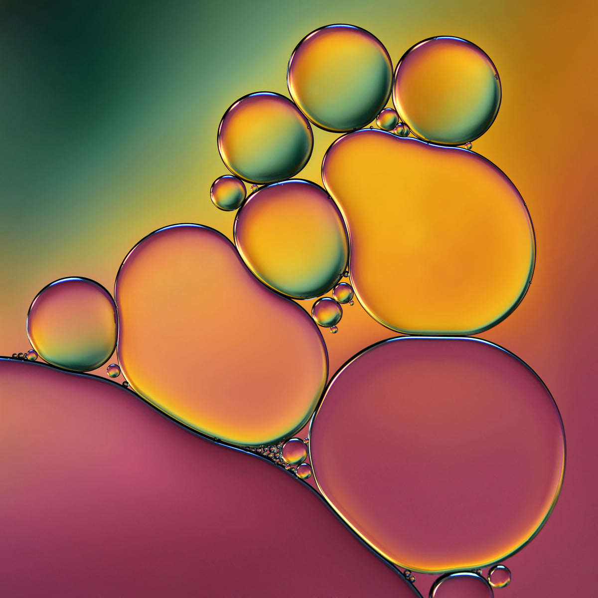 aluminium-print-acrobats