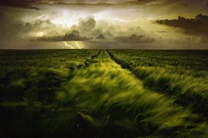 modern-3-piece-acrylic-print-journey-to-the-fierce-storm