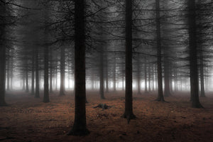 modern-3-piece-canvas-print-silence-ii