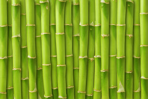 poster-print-bamboo-wall