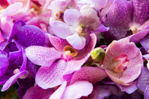 modern-3-piece-acrylic-print-orchid-paradise
