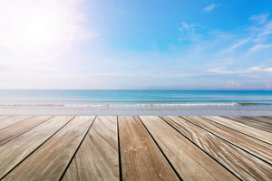framedposter-print-the-beautiful-beach-house