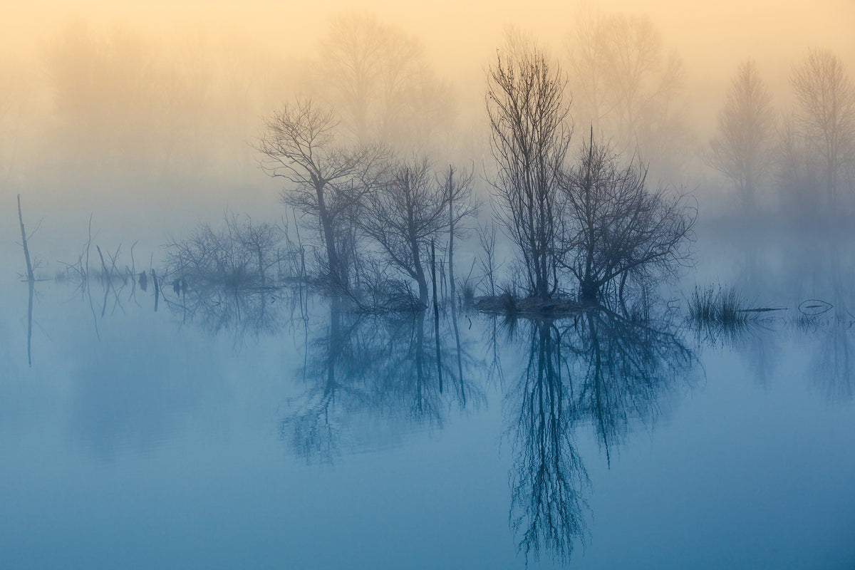 framedcanvas-print-morning-reflection-ii