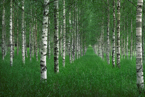 aluminium-print-the-tunnel