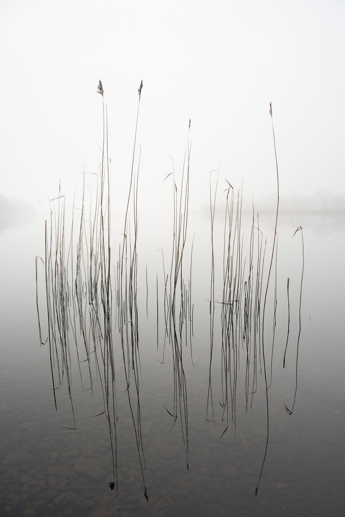 canvas-print-silence