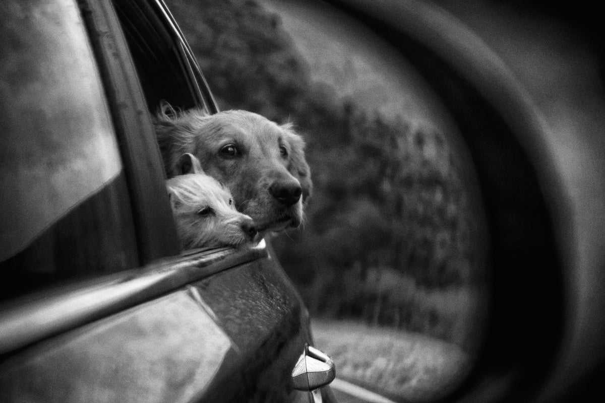 acrylic-print-roadtrip-x
