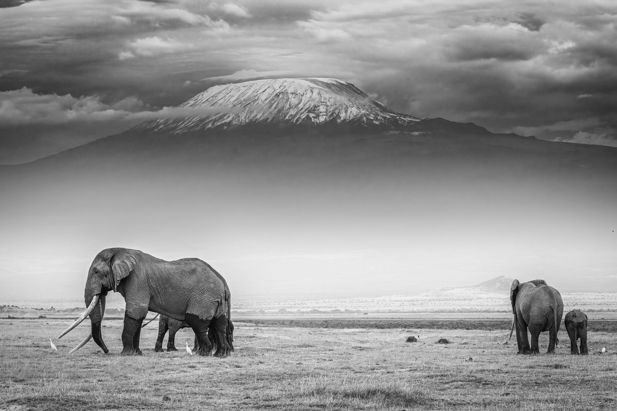 canvas-print-the-land-of-giants-x