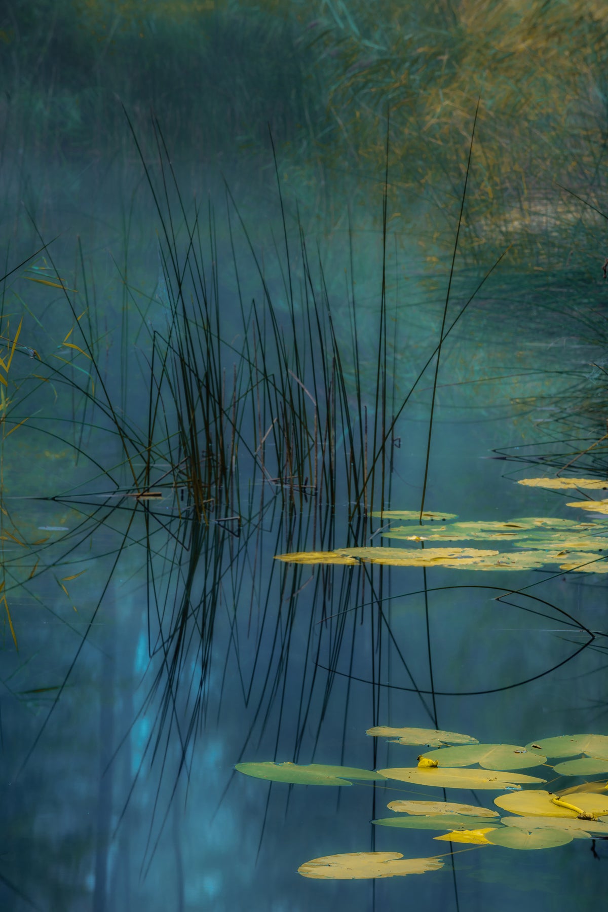 aluminium-print-aqua