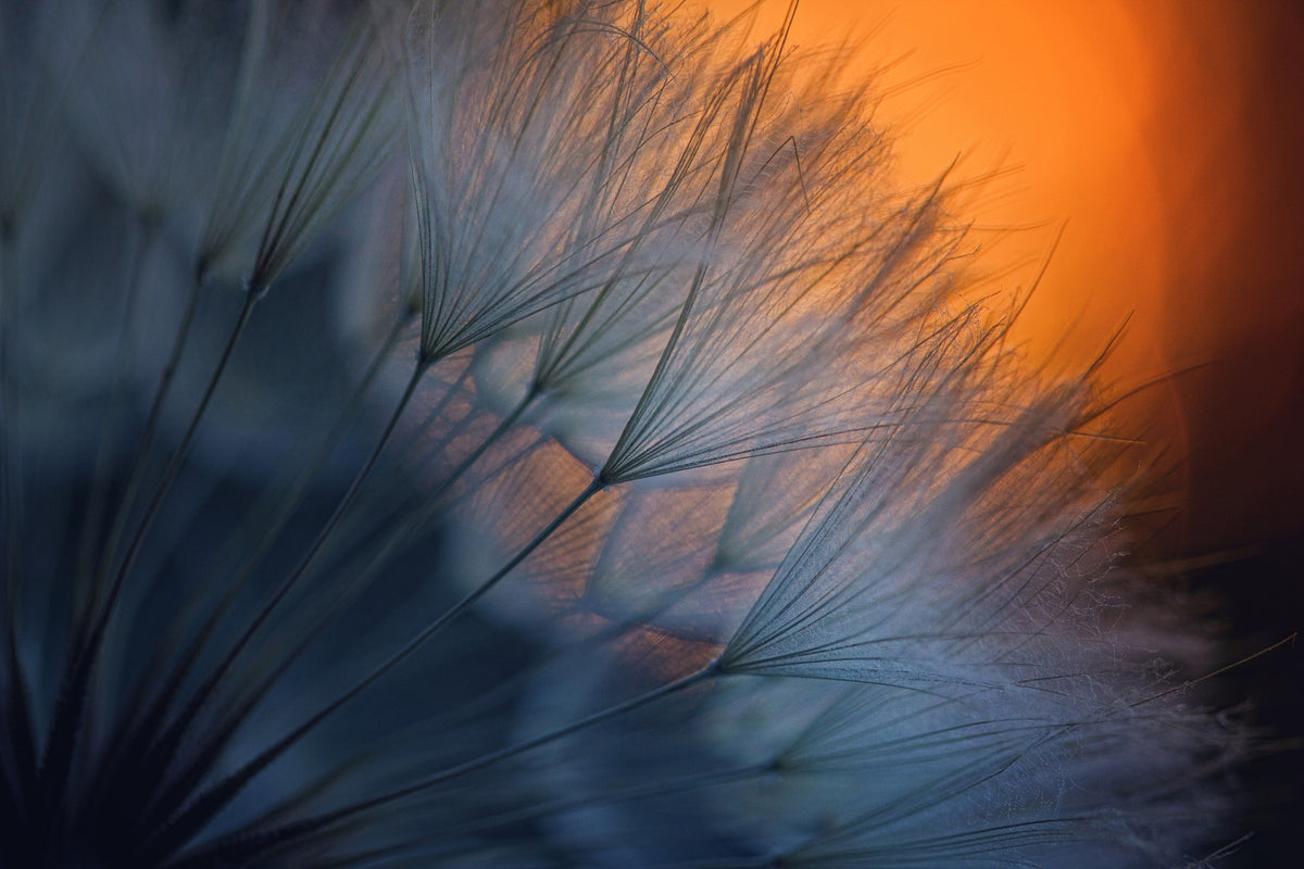 modern-3-piece-acrylic-print-feathers-p