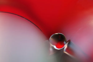acrylic-print-between-x