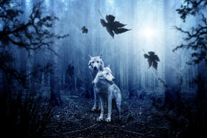 modern-3-piece-aluminium-print-wolf39s-couple