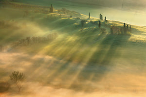 framedposter-print-mist-x