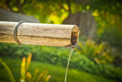 poster-print-the-bamboo-pipe