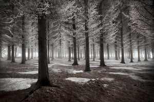 modern-3-piece-canvas-print-the-onset-of-winter