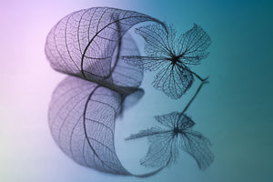 3-piece-aluminium-print-story-of-leaf-and-flower