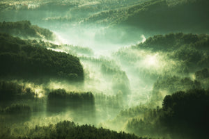 framedposter-print-over-the-woods