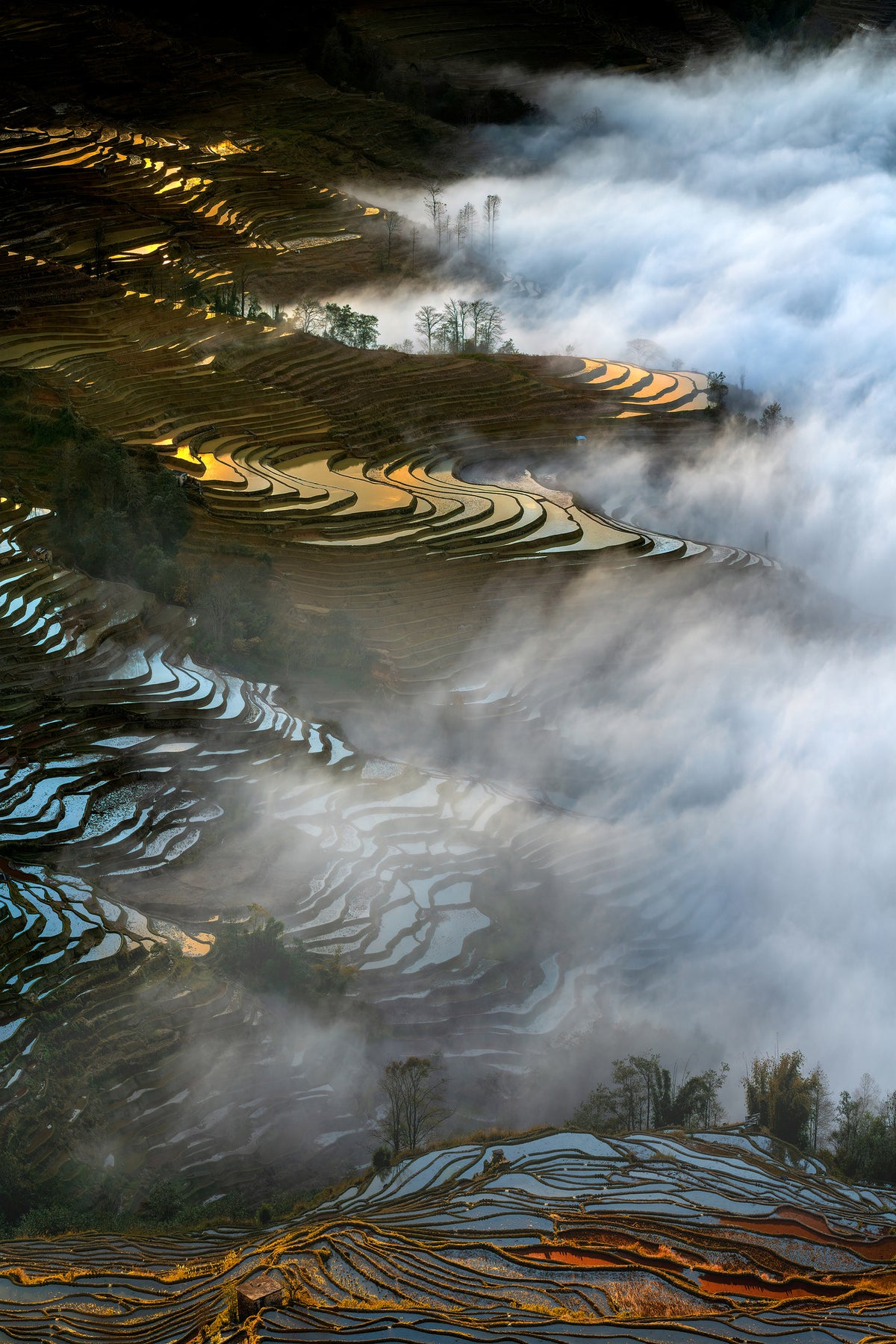 framedcanvas-print-colorful-rice-terraces