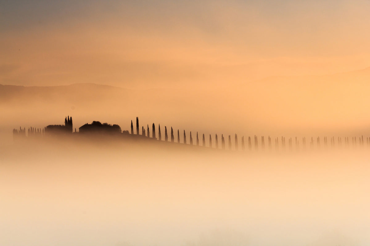 framedposter-print-foggy-sunrise-xam