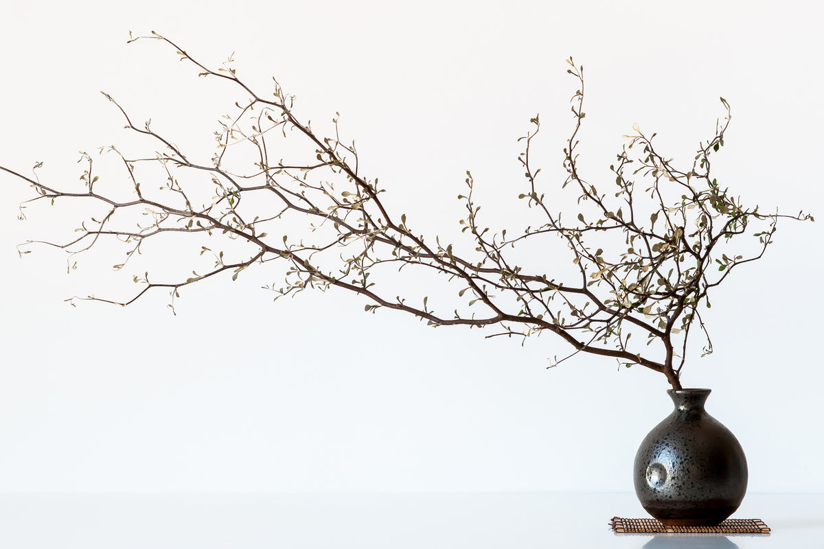 framedcanvas-print-vase-and-branch-x