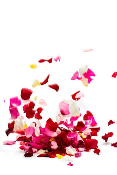 poster-print-bed-of-rose-foliage