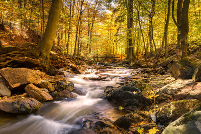 poster-print-real-nature-beauty