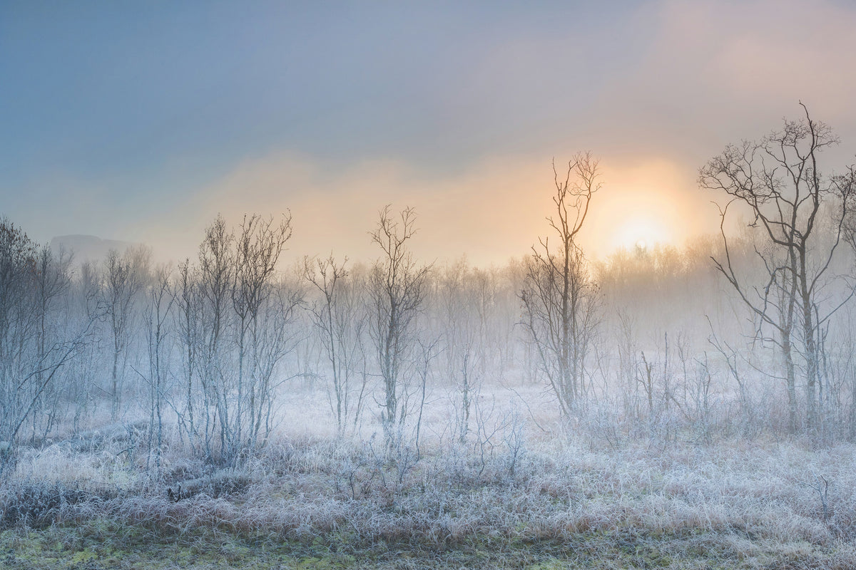 poster-print-a-touch-of-winter