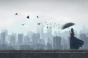 canvas-print-fly-away