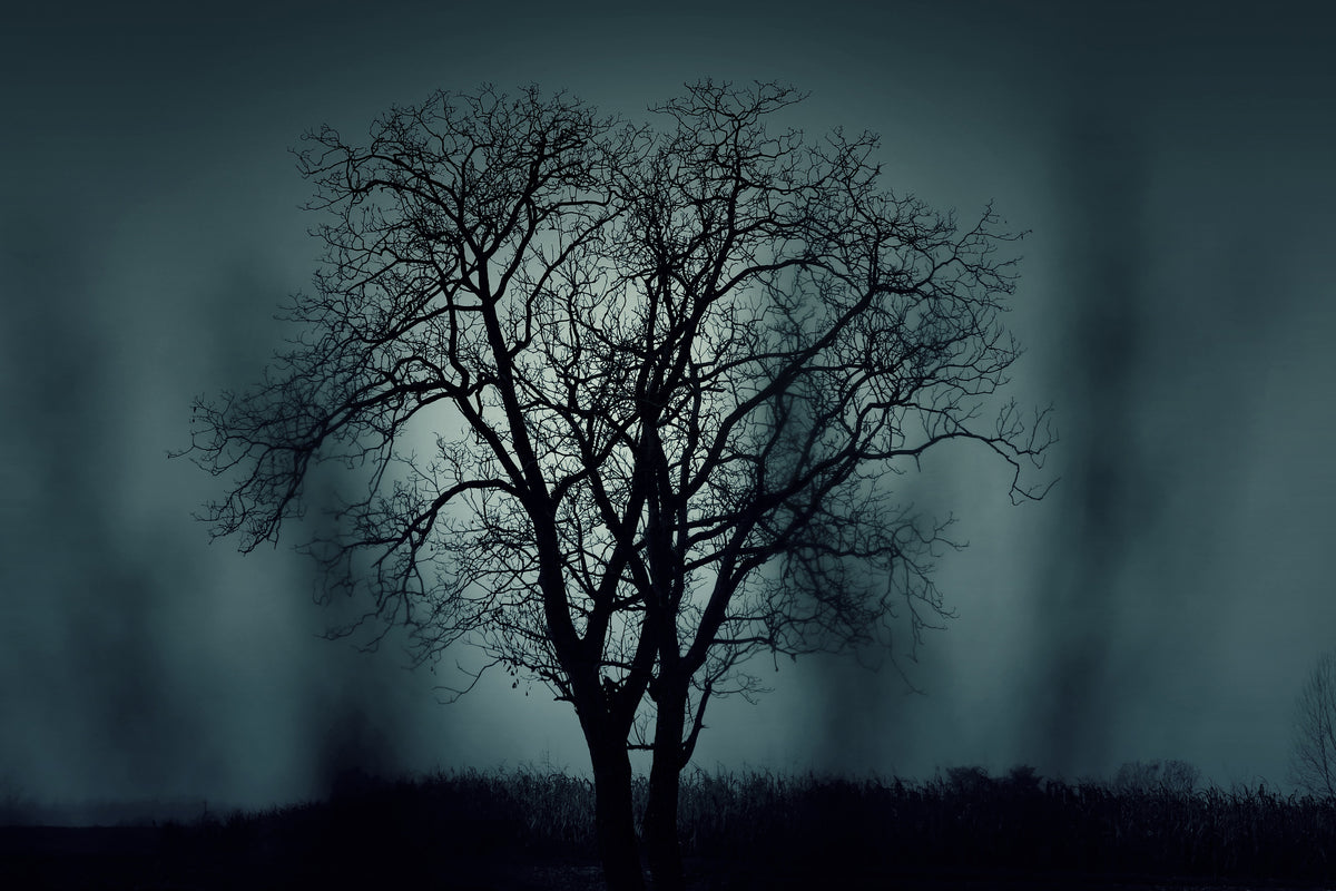 poster-print-the-tree-in-darkness