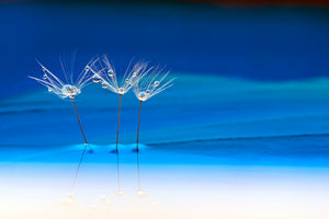 aluminium-print-blue-landscape-x
