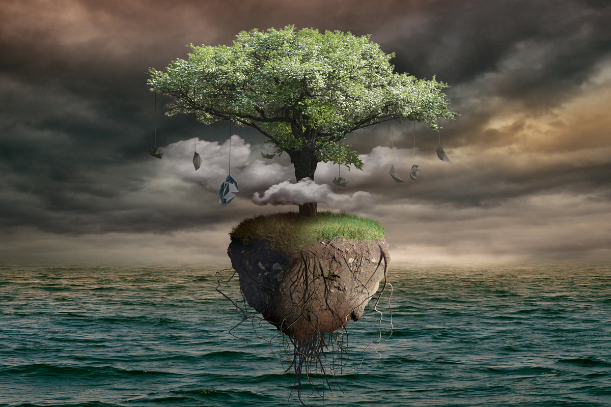 modern-3-piece-acrylic-print-lonely-tree