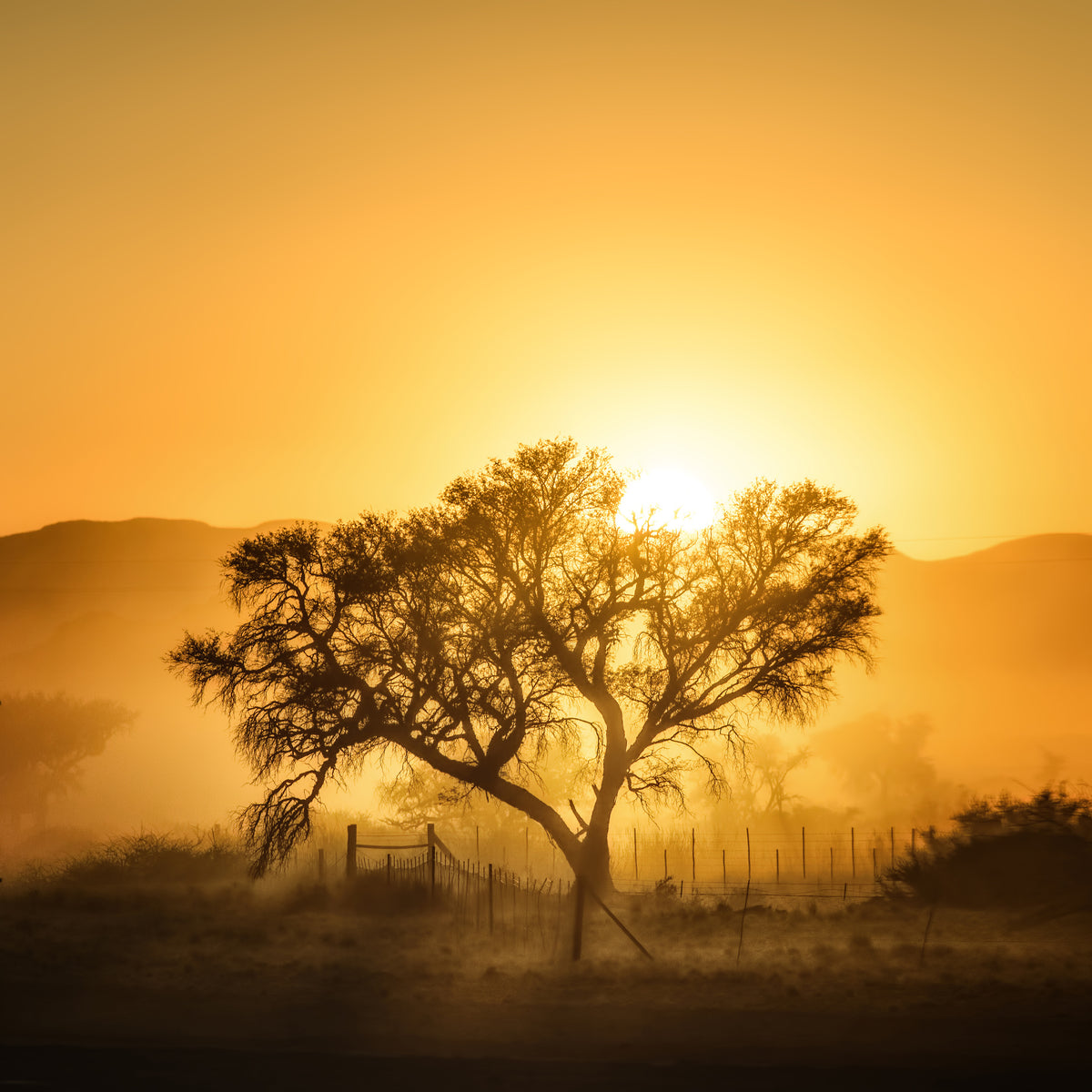 acrylic-print-golden-sunrise