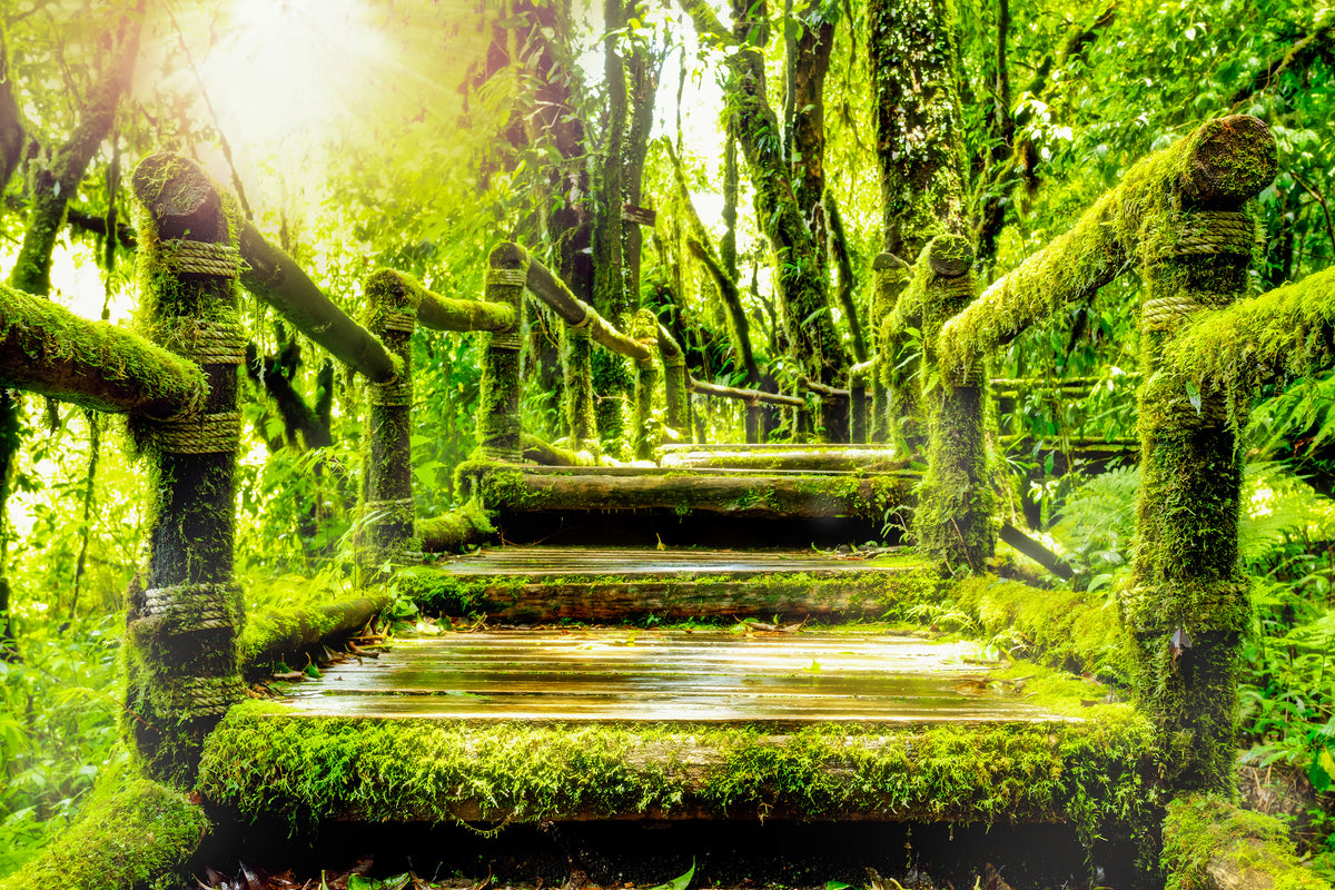 modern-3-piece-acrylic-print-moss