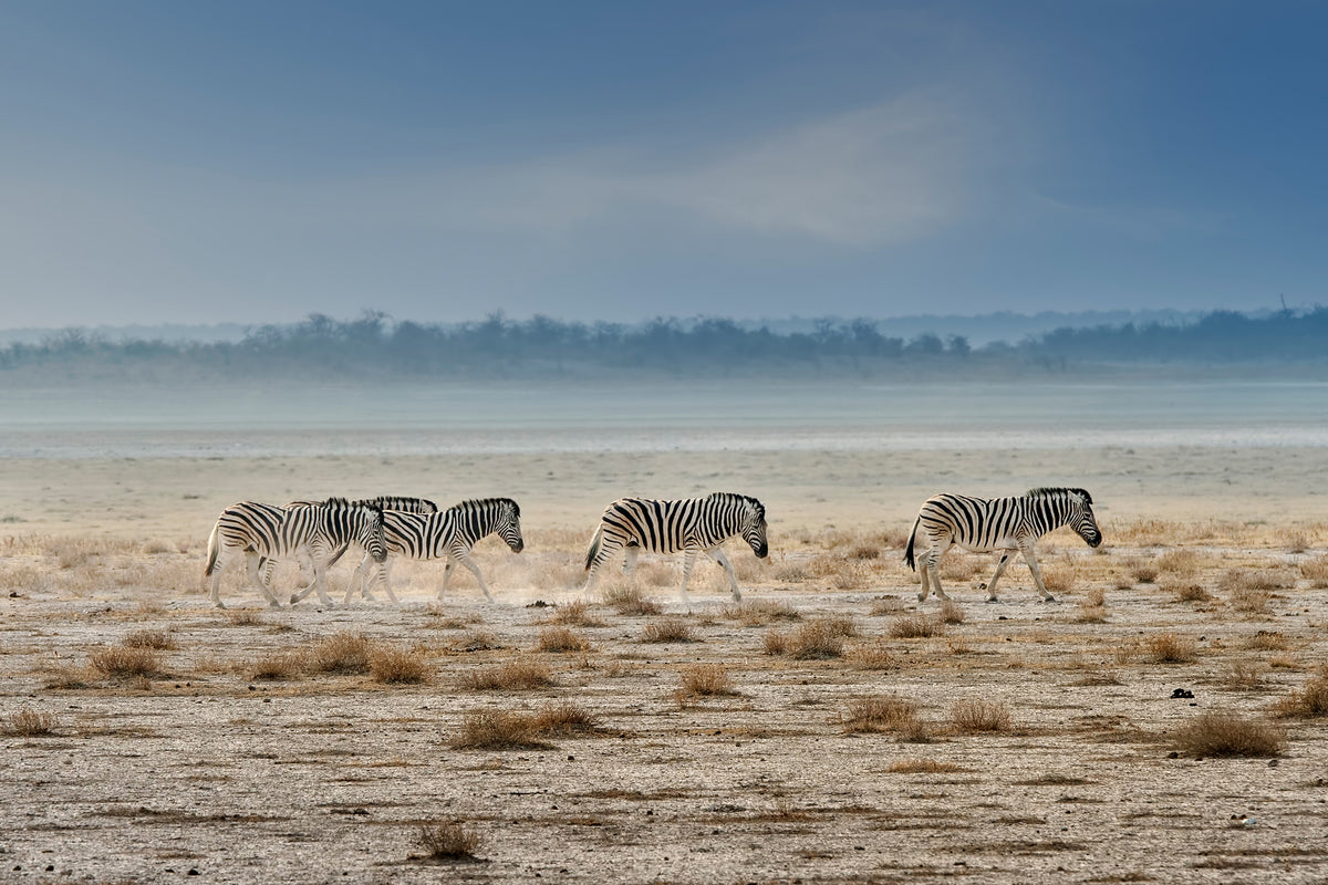 aluminium-print-promenade